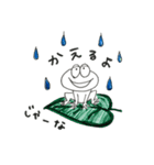 higiki cat.（個別スタンプ：13）