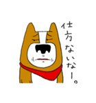 犬と男 ほぼ犬編（個別スタンプ：12）