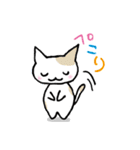 とりねこDays（個別スタンプ：19）