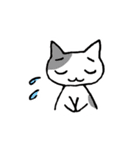 とりねこDays（個別スタンプ：21）
