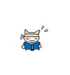 とりねこDays（個別スタンプ：30）