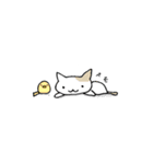 とりねこDays（個別スタンプ：34）