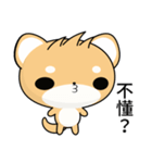 Sunny Day Shiba Inu (Heihei)（個別スタンプ：21）