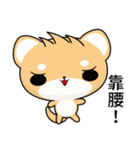 Sunny Day Shiba Inu (Heihei)（個別スタンプ：22）