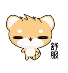 Sunny Day Shiba Inu (Heihei)（個別スタンプ：37）