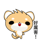 Sunny Day Shiba Inu (Heihei)（個別スタンプ：39）