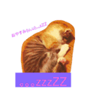 三毛猫メイチャン（個別スタンプ：2）