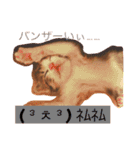 三毛猫メイチャン（個別スタンプ：4）