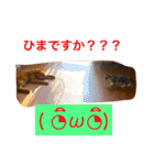 三毛猫メイチャン（個別スタンプ：9）