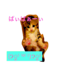 三毛猫メイチャン（個別スタンプ：17）