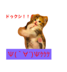 三毛猫メイチャン（個別スタンプ：19）