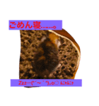 三毛猫メイチャン（個別スタンプ：21）