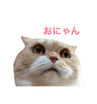 ブラックジル（個別スタンプ：14）