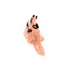子どものお絵かき（個別スタンプ：3）