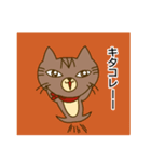 にゃんとも ごん吉（個別スタンプ：17）