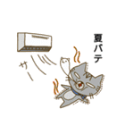 にゃんとも ごん吉（個別スタンプ：34）