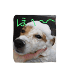 もこのリアクション（個別スタンプ：1）