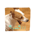 もこのリアクション（個別スタンプ：3）