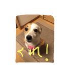 もこのリアクション（個別スタンプ：7）