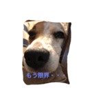 もこのリアクション（個別スタンプ：8）