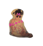 S.M.LL（個別スタンプ：11）