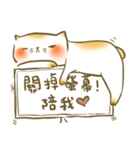 The Cat names Old-Dough in BauJin Family（個別スタンプ：17）