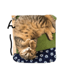 俺、猫2（個別スタンプ：14）