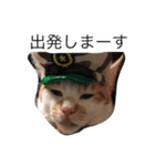 ねこにゃんシリーズ1（個別スタンプ：8）