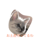 ねこにゃんシリーズ1（個別スタンプ：16）