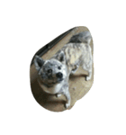 秋田犬のきなこ（個別スタンプ：8）