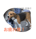 くっきーぬのスタンプ（個別スタンプ：3）