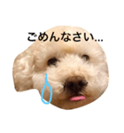 ちょたーーん（個別スタンプ：17）