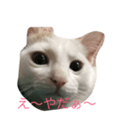 こてつ！（個別スタンプ：1）
