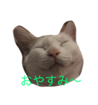 こてつ！（個別スタンプ：2）