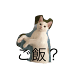 こてつ！（個別スタンプ：8）