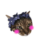 ねこねこパニック no.1（個別スタンプ：5）