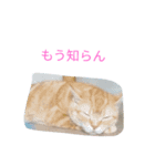 モカちん（個別スタンプ：4）