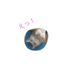 モカちん（個別スタンプ：13）