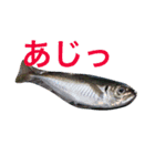 魚たち（個別スタンプ：3）