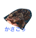 魚たち（個別スタンプ：4）