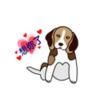 yuki babydog（個別スタンプ：1）