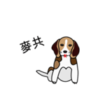 yuki babydog（個別スタンプ：4）