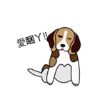 yuki babydog（個別スタンプ：5）