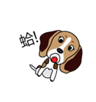 yuki babydog（個別スタンプ：7）