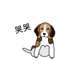 yuki babydog（個別スタンプ：8）