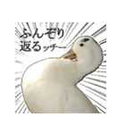 小さいアヒルのブッチー（個別スタンプ：11）