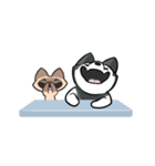 Tayga the Husky - Animated（個別スタンプ：12）