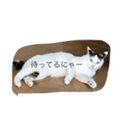 りきいなりちゃー（個別スタンプ：2）