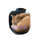 りきいなりちゃー（個別スタンプ：7）