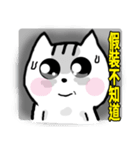 chao hu cat part12（個別スタンプ：3）